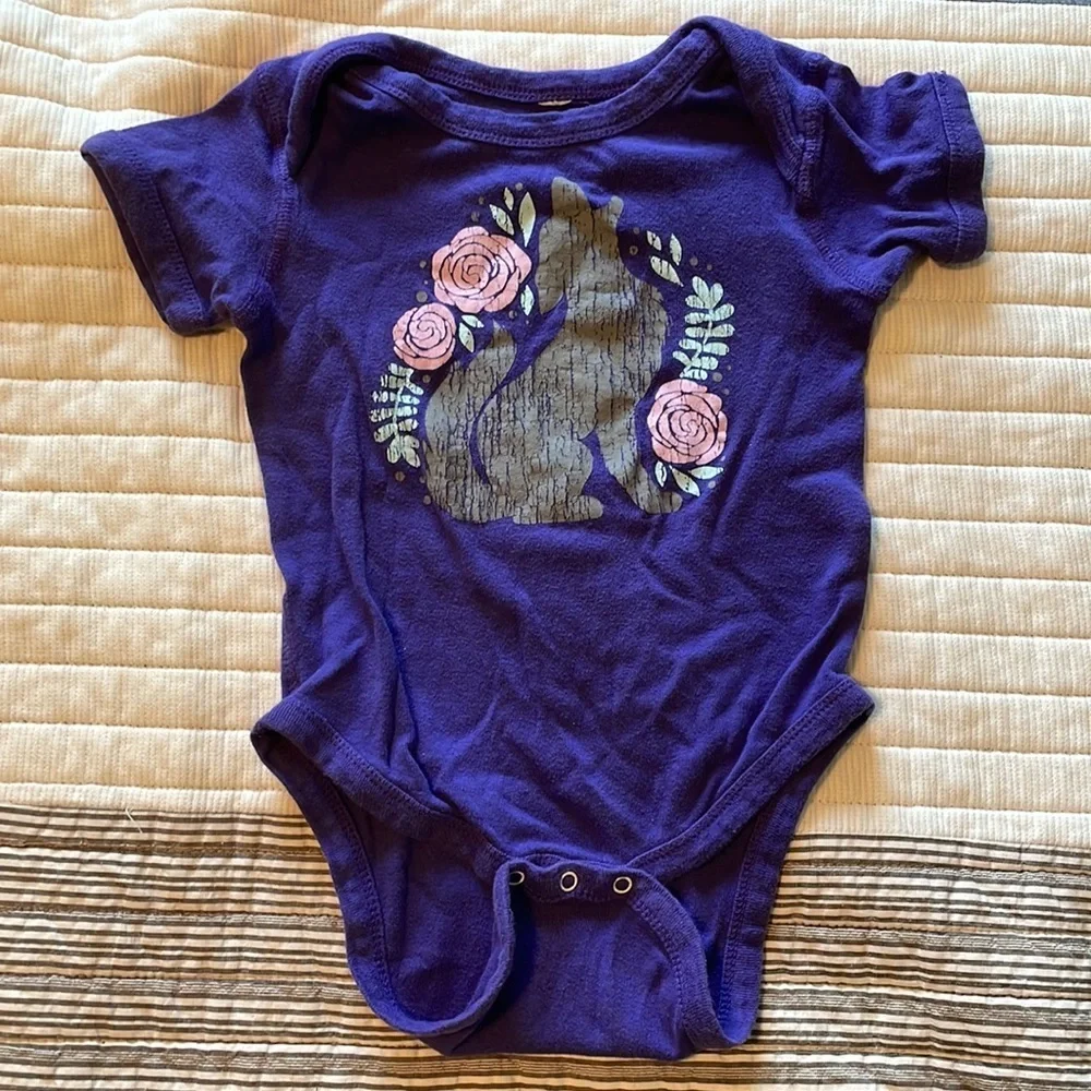 Set of 4 Boho Western Baby Onesies – Southwest Desert Animals Cactus – Size 24M